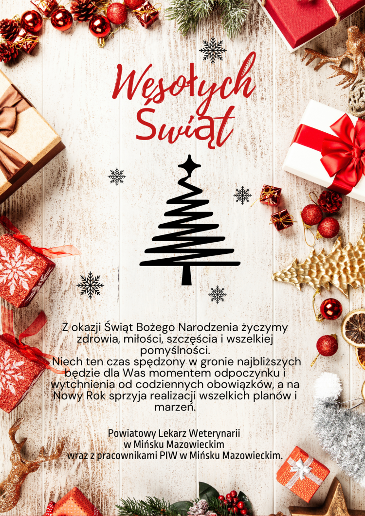 Red Modern Christmas Sale Poster(1)
